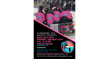 2024 Flamingos AAA Tryouts!